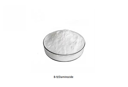 Daminozide（B-9/B9）CAS 1596-84-5